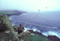 <b>Capture.</b> Iles Féroé, Atlantique nord, juillet. Au passage du macareux, le chasseur tend une perche longue de 3,50 m, terminée par un filet. L'oiseau se prend dans les mailles. Aussitôt, le chasseur s'en saisit et lui tord le cou promptement. Capture des Macareux aux îles Féroé. 