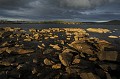  Lerwick. Iles Shetland. Hémisphère nord. 