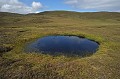  Lande. Iles Shetland. Hémisphère nord. 