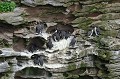 Ile de Noss Ile de Noss. Iles Shetland. Hémisphère nord. 