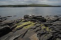 Ile de Noss Ile de Noss. Iles Shetland 