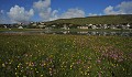  Lerwick. Iles Shetland. Hémisphère nord. 