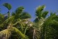 La Digue. Grand Cap. La Digue. Iles Seychelles. Océan Indien. 
