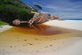 La Digue. Petite Anse. La Digue. Iles Seychelles. Océan indien. 