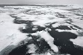 Svalbard Svalbard. Banquise. 
