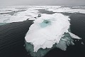 Svalbard. Banquise. Svalbard. Banquise. 