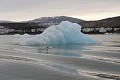 Svalbard Svalbard. Baie du Roi 
