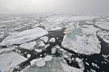 Svalbard. Détroit Hinlopen. Fjorc Vibebukta. Détroit Hinlopen. Fjorc Vibebukta. Svalbard 