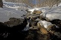  Vallon de Sestrière. L'hiver en Haute Tinée. Parc National du Mercantour. Alpes Maritimes. 