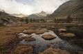  Lac Long Inférieur. Tourbière d'altitude. Vallée des Merveilles. Printemps en Haute Roya. Parc National du Mercantour. Alpes Maritimes. 