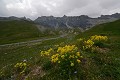  Printemps en Haute Tinée. Parc National du Mercantour. 