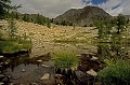  Lac de Camp Soubran. Eté en Haute Vésubie. Parc National du Mercantour. Alpes Maritimes. France. 