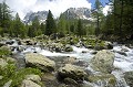  Torrent. Val du Haut Boréon. Parc National du Mercantour au Printemps. Alpes Maritimes. 