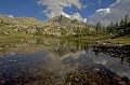  Lac de Camp Soubran. Parc National du Mercantour l'été. Alpes Maritimes. France. 