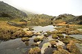  Le Lac Vert de Fontanalba. Formation de tourbière d'altitude. Zone de Fontanalbe. Parc National du Mercantour. Alpes Maritimes. 