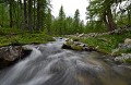  Printemps en Haute Tinée. Parc National du Mercantour. 