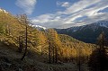 Vallon du Cavalet et Mont Pelago. Automne en Haute Vésubie. Parc National du Mercantour. Automne en Haute Vésubie. Serres des Gardes. Vallon du Cavalet et Mont Pelago. Alpes Maritimes. 