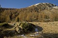  Parc National du Mercantour. Automne. Le Mont Cavalet. 