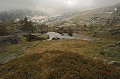  Gias des Pasteurs. Zone de Fontanalba. Haute Roya au printemps. Parc National du Mercantour. Alpes Maritimes. 