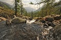  Vallon de la Minière. Printemps en Haute Roya. Parc National du Mercantour. Alpes Maritimes. 