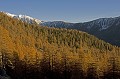  Vallon du Cavalet. Automne en Haute Vésubie. Parc National du Mercantour. Alpes Maritimes. 