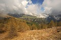  Plan Tendasque. Printemps en Haute Roya. Parc National du Mercantour. Alpes Maritimes. 