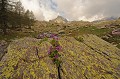 Cime du Diable. Alt. 2685m. Printemps en Haute Roya. Cime du Diable. Printemps en Haute Roya. Parc National du Mercantour. 