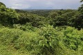  Paysage Cacao. Guyane française. 