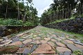 Les bagnards constituent pour l’Administration coloniale une main d’œuvre docile et bon marché pour les défrichements et abattages d’arbres, les constructions et les routes. Saint Joseph. Iles du Salut. Guyane française. 