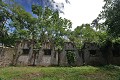 Iles du Salut. Une belle nature exubérante a pris place  dans ces lieux où la souffrance vécue dépasse l'imagination. Ile Saint Joseph. Iles du Salut. Guyane française. 