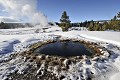  Old Faithful. Parc National de Yellowstone. 
