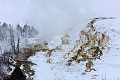  Mammoth Hot Springs. Parc National de Yellowstone. 