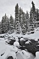  Parc National de Yellowstone 