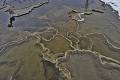  Mammoth Hot Springs. Parc National de Yellowstone 