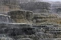  Mammoth Hot Springs. Parc National de Yellowstone. 