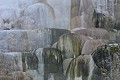 Mammoth Hot Springs. Parc National de Yellowstone. 