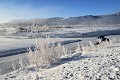  Parc National de Yellowstone en hiver. 