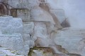  Mammoth Hot Springs. Parc National de Yellowstone 