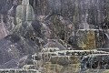  Mammoth Hot Springs. parc National de Yellowstone 