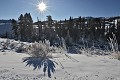  Parc National de Yellowstone 