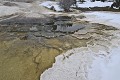  Mammoth Hot Springs. Parc National de Yellowstone 