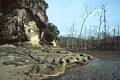  Côte de Bornéo. Malaisie. 