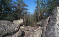  Forêt de Fontainebleau. Région parisienne. Forêt domaniale de France. 