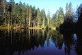  Lac et forêt d'Europe. 