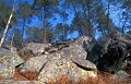 <b>Forêt domaniale de Fontainebleau.</b> Forêt domaniale de Fontainebleau. France. Région parisienne. 
