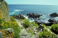  Côte sauvage de Belle île en Mer 