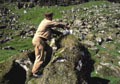 <b>Appelants.</b> Plus la chasse avance dans la matinée, plus le nombre d'"appelants" grandit et plus les nicheurs reviennent en confiance. Chasse des macareux aux îles Féroé. 