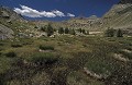  Parc National du Mercantour. Alpes Maritimes. Parcs Nationaux de France. Marais du Lac Long Supérieur. 