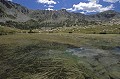  Marais du lac long supérieur. Parc National du Mercantour l'été. Vallée des Merveilles. 