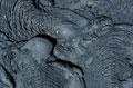  Lave torsadée des îles Galapagos 